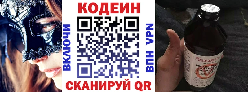 Купить закладки  Шенкурск  Кодеиновый сироп Lean Purple Drank 