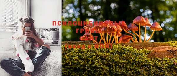 марки lsd Михайлов